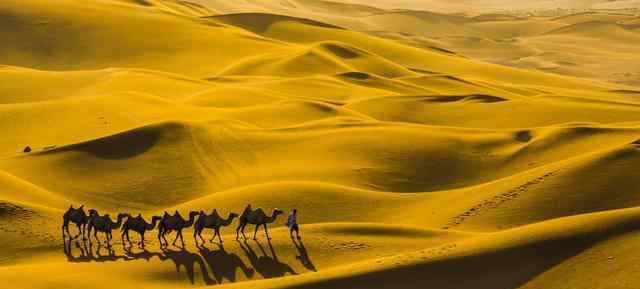世界最大的沙漠 世界第一大荒漠 竟然不是撒哈拉大沙漠 很多人想不到