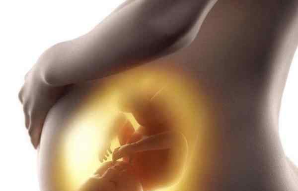 胎儿在肚子里的姿势 胎宝宝在妈妈肚子里是怎么待着的 原来姿势那么多 真是个小调皮