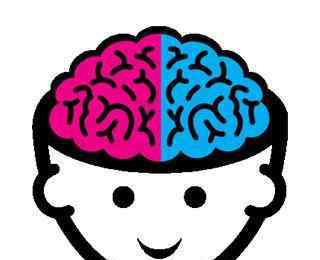 左右脑分工 记忆大师：什么是左右脑的分工 一块来看看你是属于哪一类吧